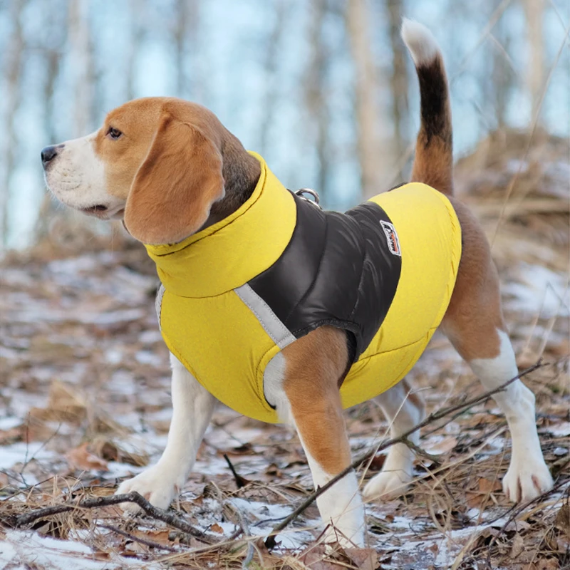 HABO Wasserdichte Hundejacke Steppjacke Warm Winter S - 5XL Hund Reißverschluss
