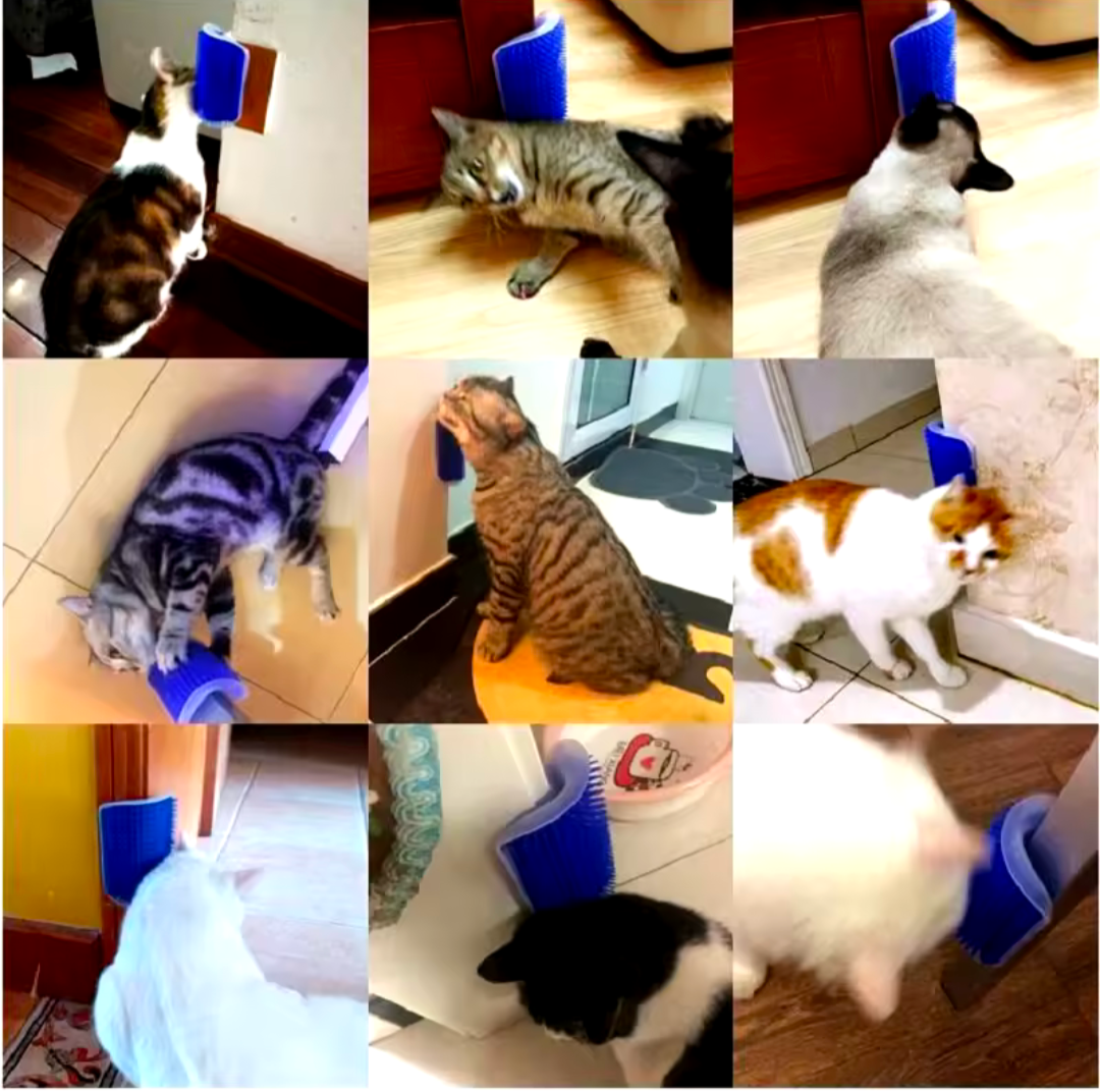 Katzenkratzer Massagegerät für Katzen und Hunde Bürste zum Kratzen Katzenpflege