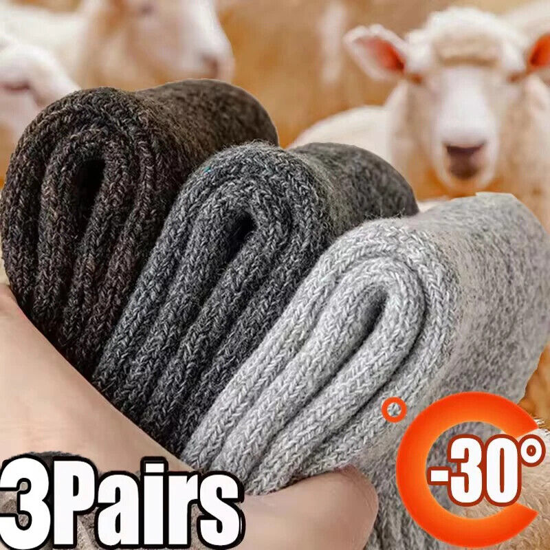 HABO Winter Herrensocken – Dicke Merinowollsocken mit Handtuchboden, Slipper