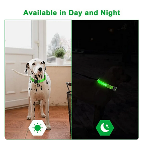 Leuchtendes Hunde Halsband verstellbar blinkend wiederaufladbar Licht im dunkel