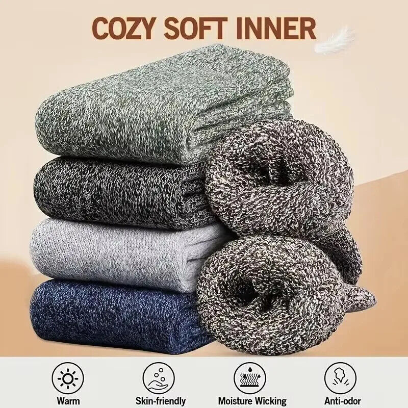 HABO Winter Herrensocken – Dicke Merinowollsocken mit Handtuchboden, Slipper