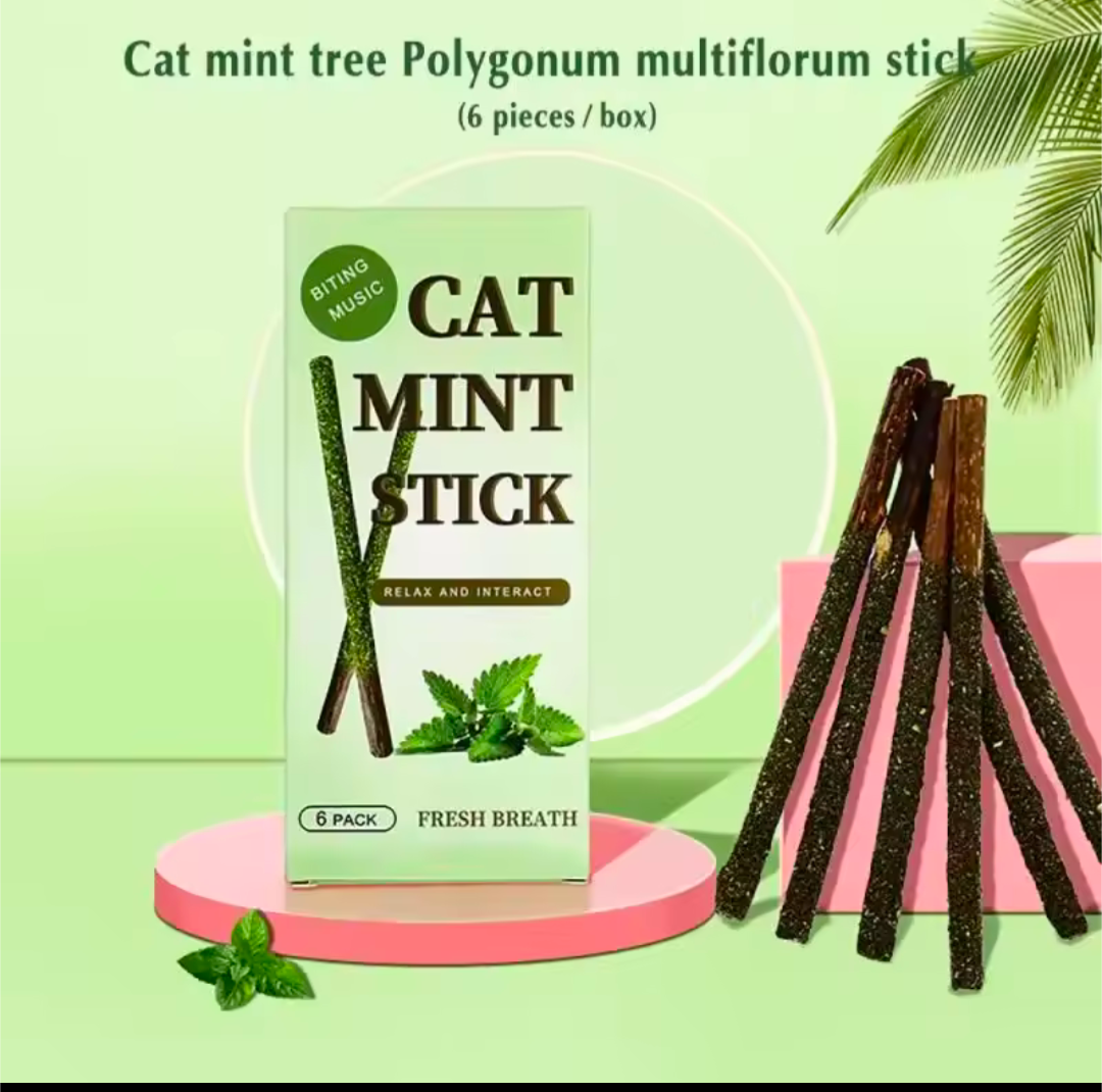 6 Stück Natürliche Premium Katzenminze Reinigung Behandlung Katzen Zähne