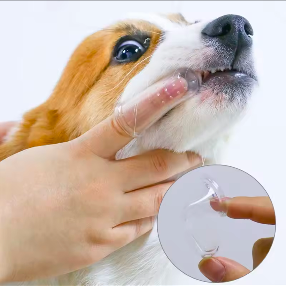 Weiche Zahnbürste für Hunde und Kleinkinder Super Weich und schonend Zahnpflege