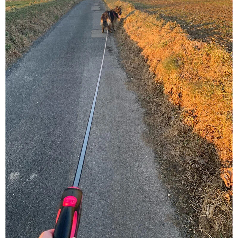 HABO Einziehbare Hundeleine 3m 5m 8m Roulette-Halsband für Hunde Strapazierfähig