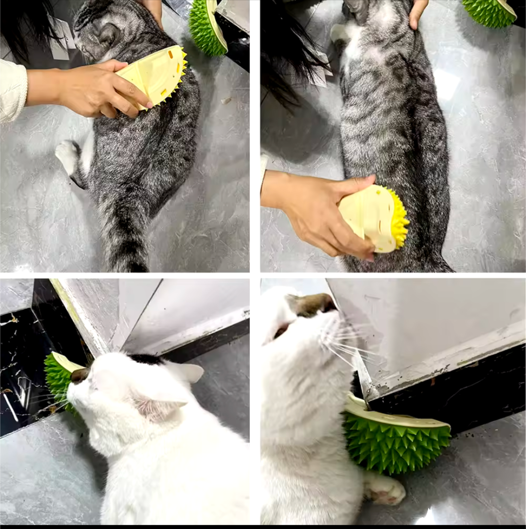 Katzenkratzer Massagegerät für Katzen und Hunde Bürste zum Kratzen Katzenpflege