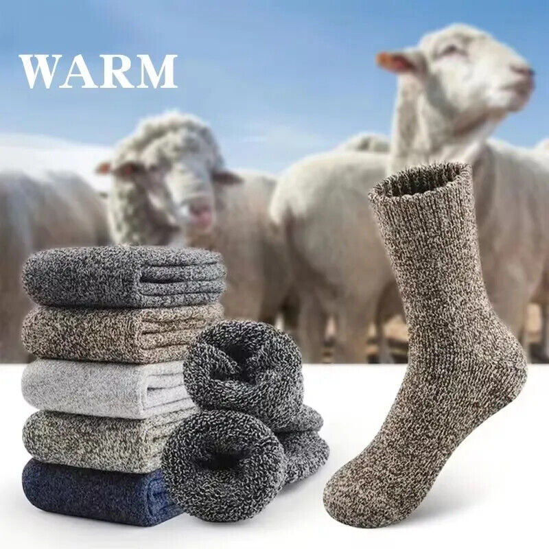 HABO Winter Herrensocken – Dicke Merinowollsocken mit Handtuchboden, Slipper