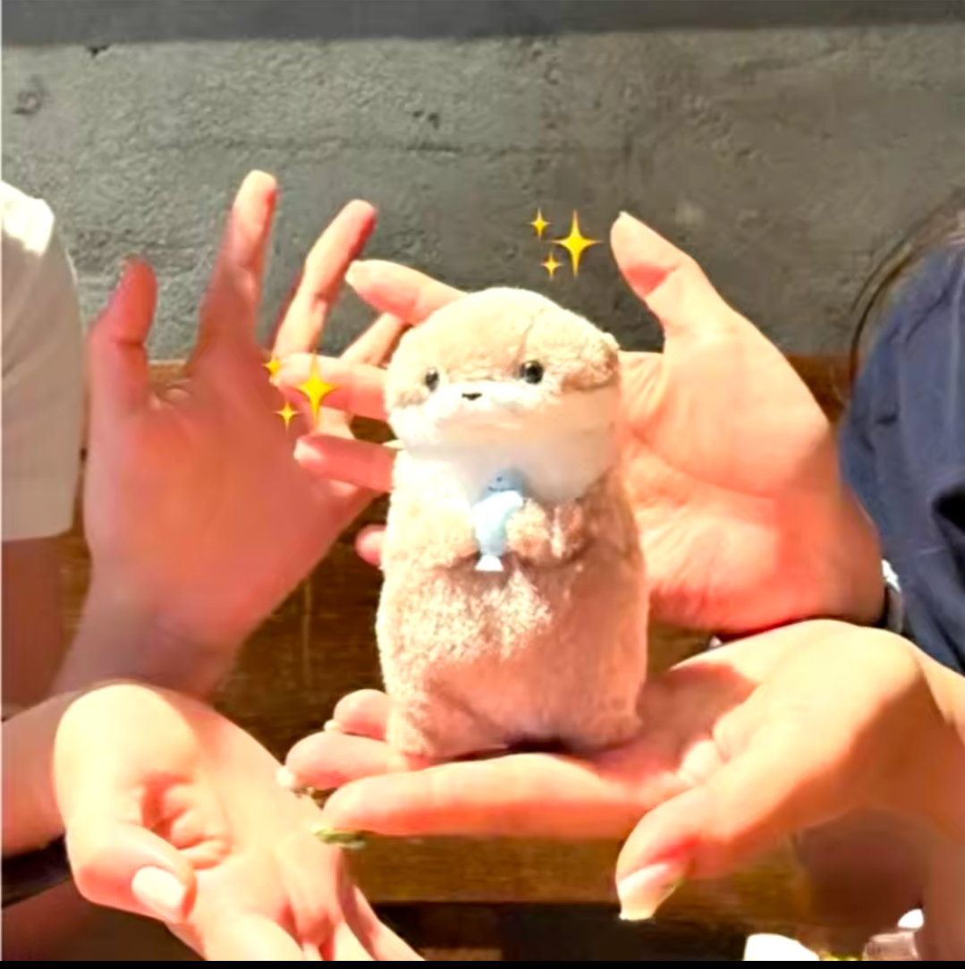 süßer Otter Schlüsselanhänger Plüsch Anhänger für Schlüssel und Rucksack 11cm