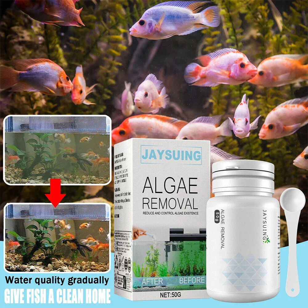 HABO Aquarium Moosentferner – Algenentfernung Pulver Wasserreinigung mit Löffel