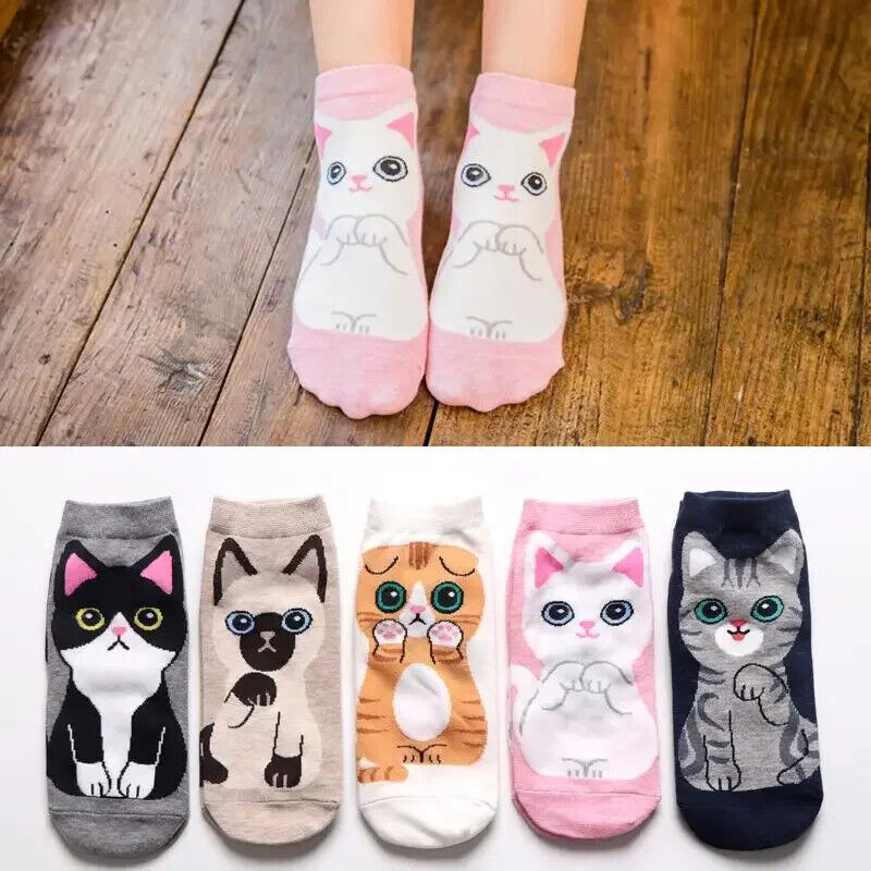 HABO Baumwoll Socken Katzen Bären Design lustige Socken atmungsaktiv Geschenk