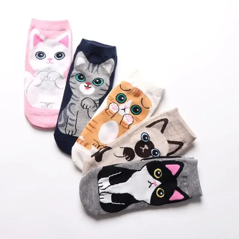 HABO Baumwoll Socken Katzen Bären Design lustige Socken atmungsaktiv Geschenk