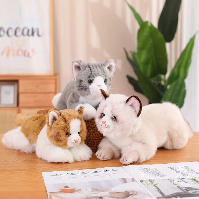 Realistische Plüsch Katze Kissen – Niedliches Haustier für Dekoration und Spiel