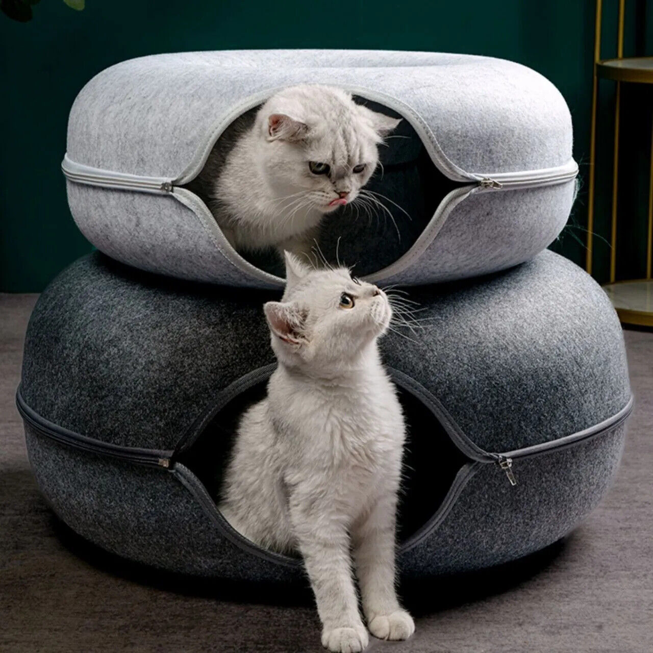 HABO Donut Katzenbett mit Interaktivem Tunnel – Haustier Spielzeug