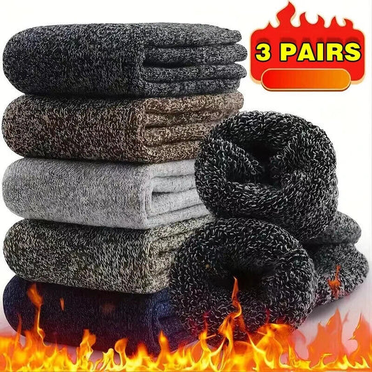HABO Winter Herrensocken – Dicke Merinowollsocken mit Handtuchboden, Slipper