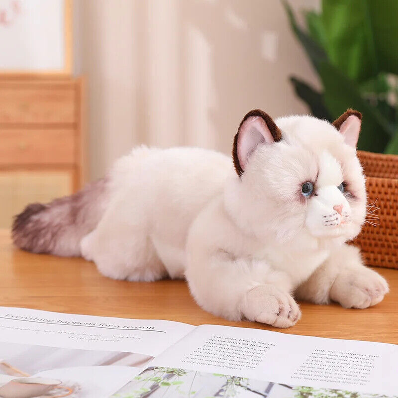 Realistische Plüsch Katze Kissen – Niedliches Haustier für Dekoration und Spiel