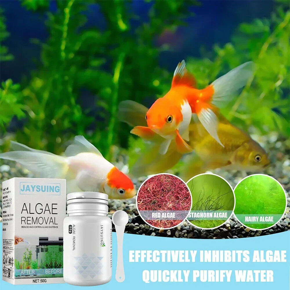 HABO Aquarium Moosentferner – Algenentfernung Pulver Wasserreinigung mit Löffel