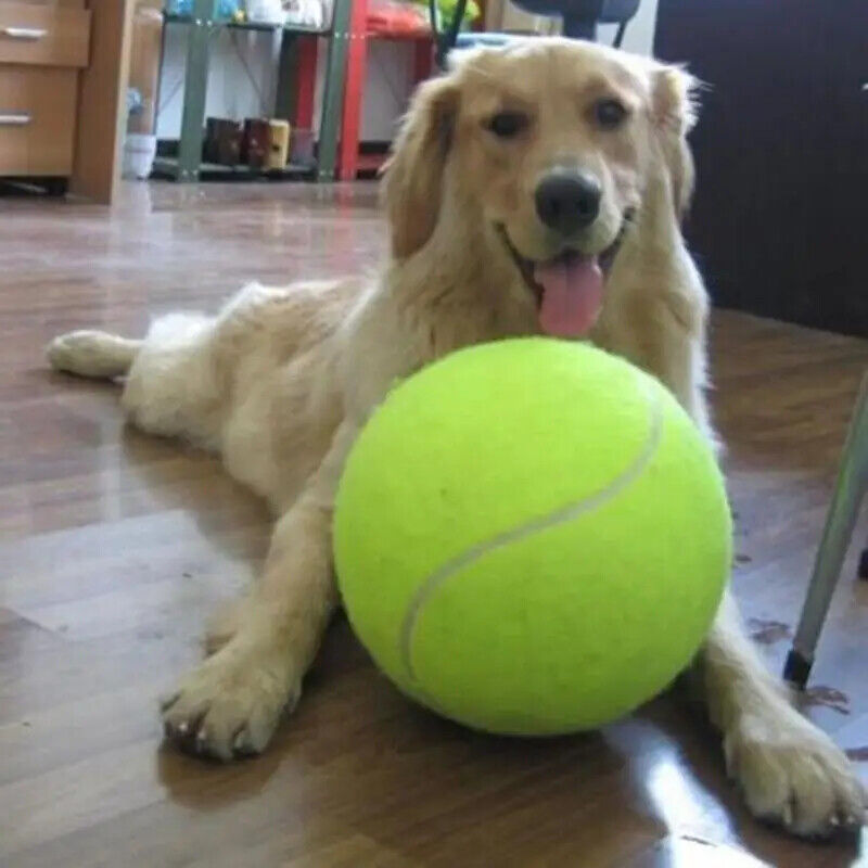 Hundespielzeug Tennis Ball Riesen Ball für Hunde zum Kauen und Werfen Plüschball