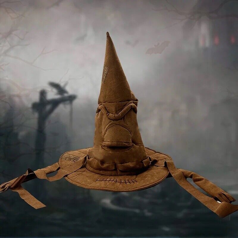Harald Potter Hogwarts Hut Halloween Karneval Fasching Party Hexenhut Zauberer