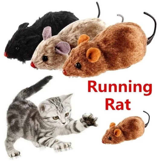 Rennende Maus Katzenspielzeug Lebensechte Plüsch Maus fahrend Ratte Spielzeug