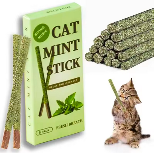 6 Stück Natürliche Premium Katzenminze Reinigung Behandlung Katzen Zähne