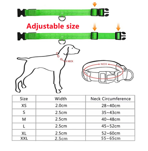 Leuchtendes Hunde Halsband verstellbar blinkend wiederaufladbar Licht im dunkel