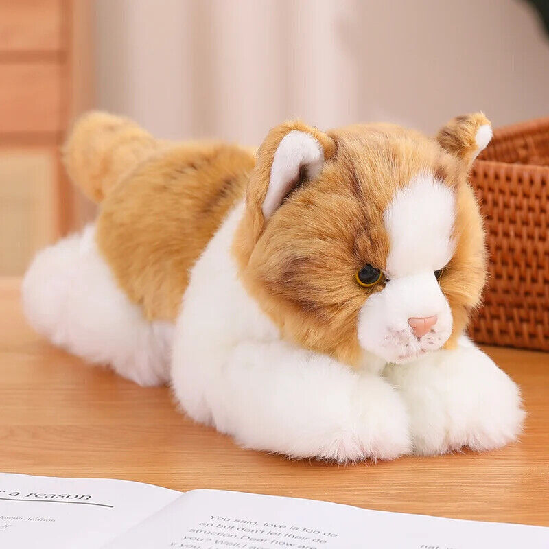 Realistische Plüsch Katze Kissen – Niedliches Haustier für Dekoration und Spiel