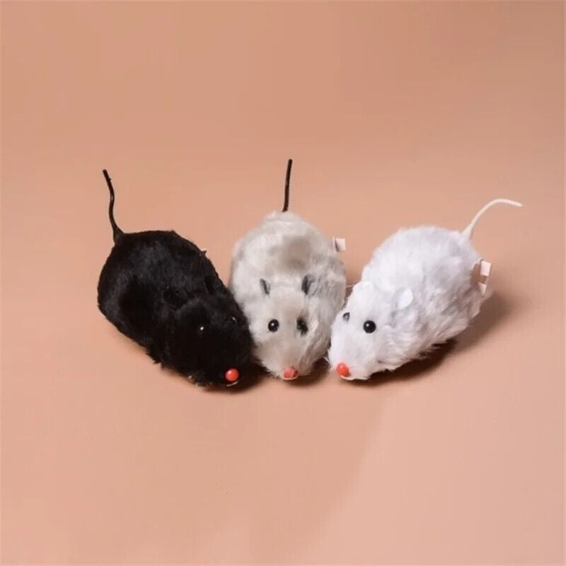 Rennende Maus Katzenspielzeug Lebensechte Plüsch Maus fahrend Ratte Spielzeug