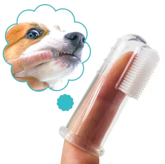 Weiche Zahnbürste für Hunde und Kleinkinder Super Weich und schonend Zahnpflege