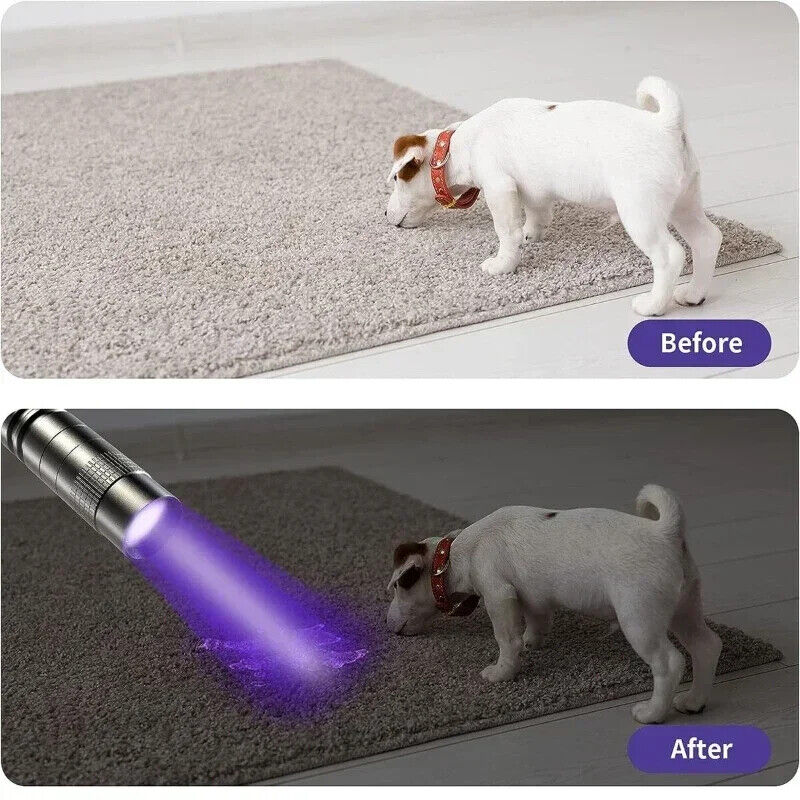 HABO 365/395Nm Uv-Taschenlampe Ultraviolett klein Schwarzlicht Erkennungs Lampe