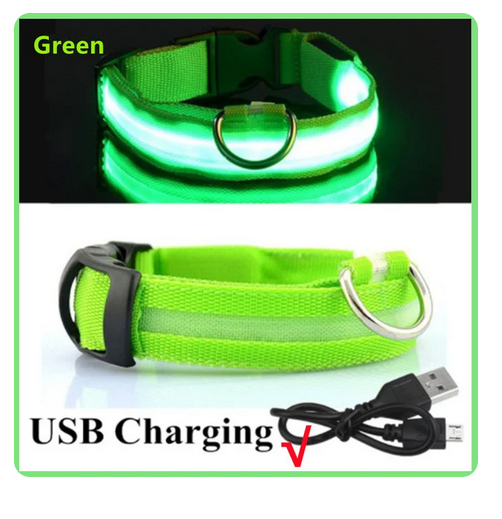 Leuchtendes Hunde Halsband verstellbar blinkend wiederaufladbar Licht im dunkel