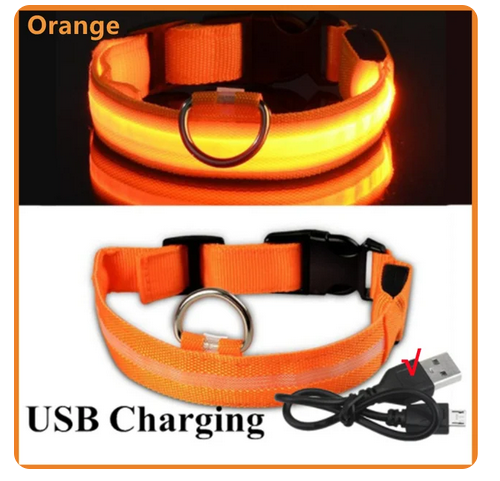 Leuchtendes Hunde Halsband verstellbar blinkend wiederaufladbar Licht im dunkel