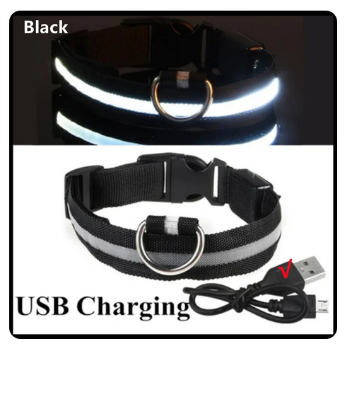 Leuchtendes Hunde Halsband verstellbar blinkend wiederaufladbar Licht im dunkel