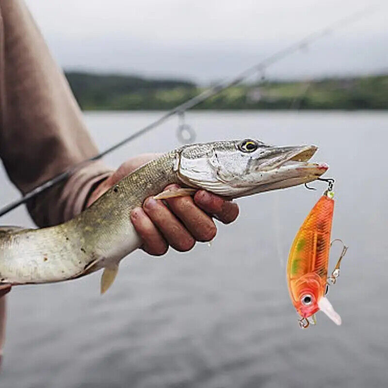 HABO Angeln Adventskalender Angelhaken Weihnachten Fisch Köder Geschenk 2024
