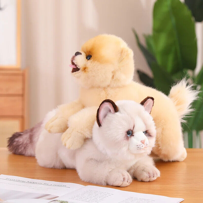 Realistische Plüsch Katze Kissen – Niedliches Haustier für Dekoration und Spiel